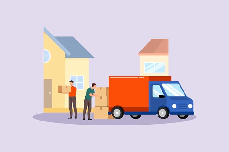 Same Day Removals